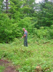 Nurturing a Meadow Image